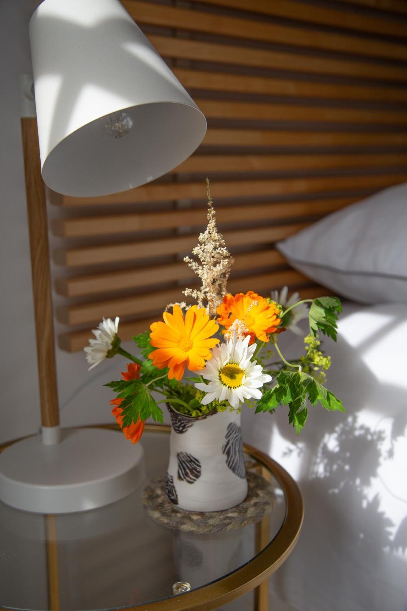 Balmungo Cottage B&B Сейнт Андрюс Екстериор снимка
